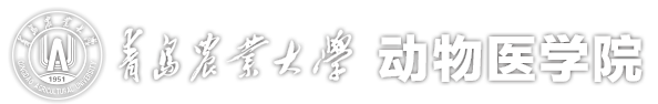 欧洲杯买足球软件