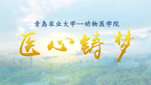 欧洲杯买足球软件宣传片