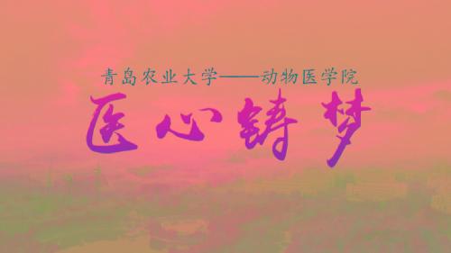 医心铸梦--2018年欧洲杯买足球软件教学科研宣传片